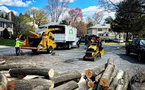 Buchanan, MI Tree Removal and Landscaping Services Company